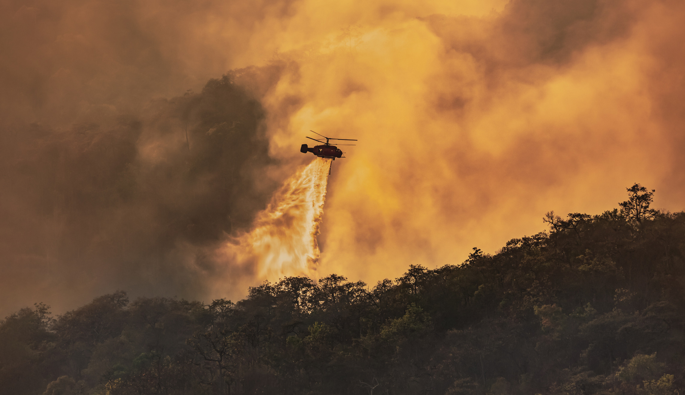 AI in wildfire prediction and prevention: A helicopter in action